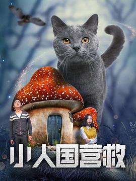 91视频链接